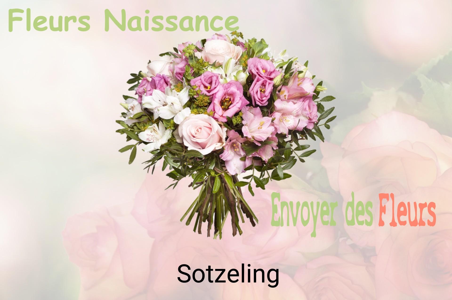 Bouquet de fleurs de naissance livré à Sotzeling